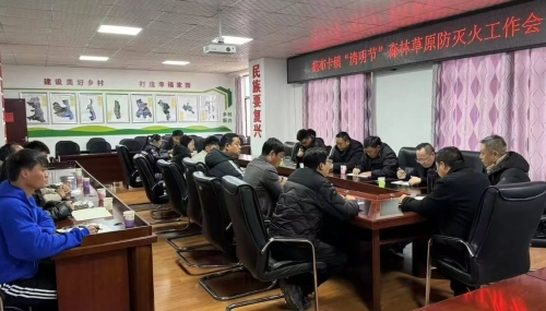 【森林防火】拖布卡镇安排部署2025年清明期间森林草原防火工作1