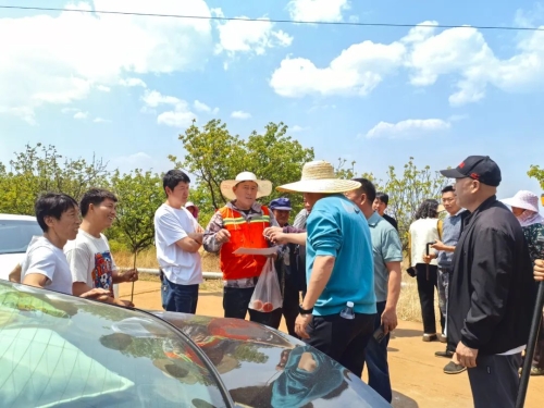 加快全域立体布局 助推产业项目落地2
