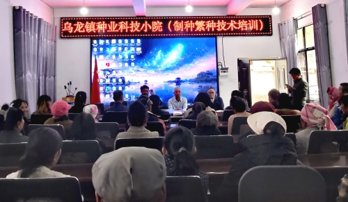 乌龙科技小院1