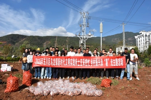 【乡村振兴】乌龙镇试种开花洋芋1号喜获丰收1