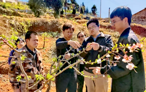东川区：打造“共富”模式 激活乡村振兴动能3