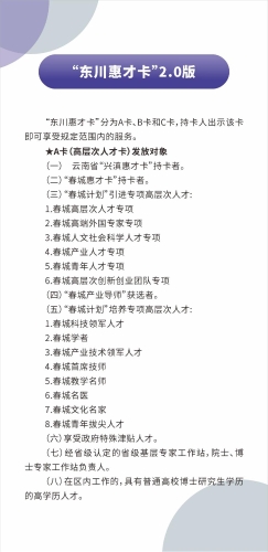 东川区人才政策大礼包  汇总 2025.4.22定稿_19