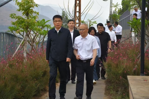 上海市普陀区党政代表团到东川调研东西部协作工作2
