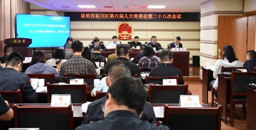 人大二十八次会议