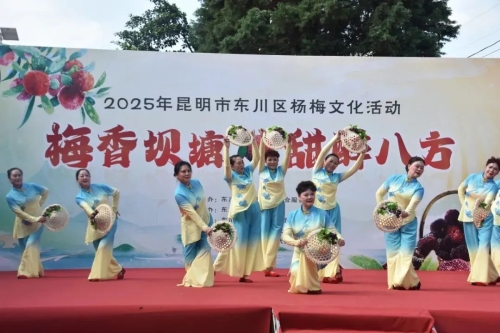 东川区乌龙镇:推进民族团结与乡村振兴融合发展 东川区乌龙镇:推进民族团结与乡村振兴融合发展