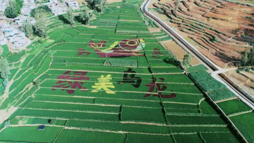 微信图片_20250616112845 微信图片_20250616112845