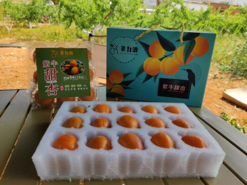 青创小院1