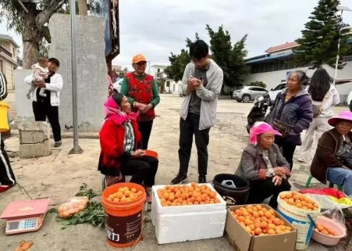 青创小院4