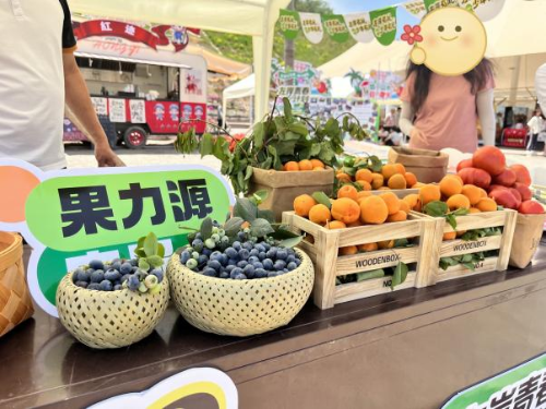青创小院6