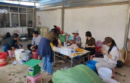 青创小院7