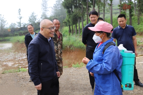 龙刚到因民镇调研1