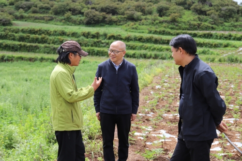 龙刚到因民镇调研2