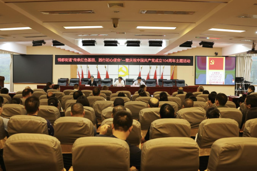铜都街道创新形式庆祝建党104周年 以“红色基因+作风建设”激发党建新活力1