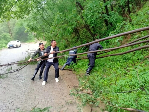 全力应对强降雨·筑牢防汛安全防线3