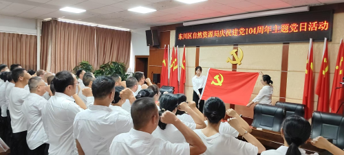 区自然资源局开展主题党日活动庆祝“七一”