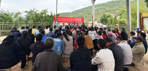 碧谷街道精准赋能促就业1
