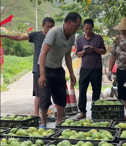 微信图片_20250704113334