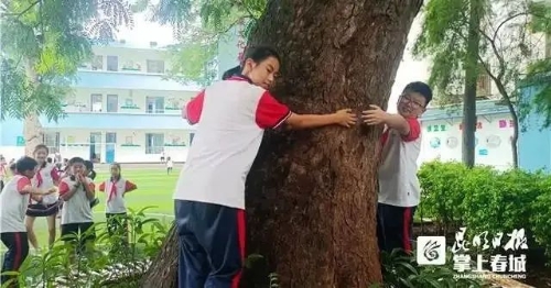 东川3所学校驶入国培快车道4