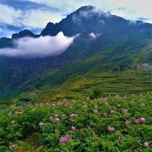 昆明东川绘就乌蒙山村多元旅居新图景1