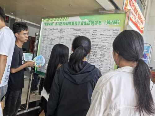 【稳岗就业】东川区2025年助力高校毕业生就业创业专项活动圆满完成4