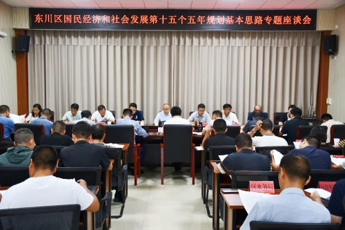 东川区召开“十五五”规划基本思路专题座谈会