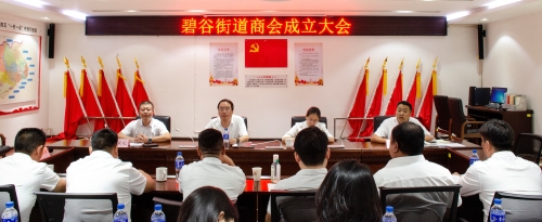 碧谷街道商会正式成立1