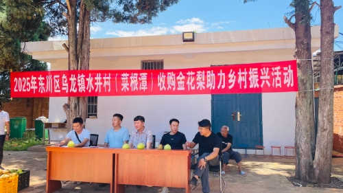 东川水井村：村企社联动高价收梨，秋梨膏产业激活乡村振兴动能1