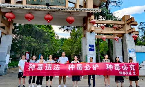 【禁毒宣传】铜都街道开展禁种铲毒专题宣传活动1