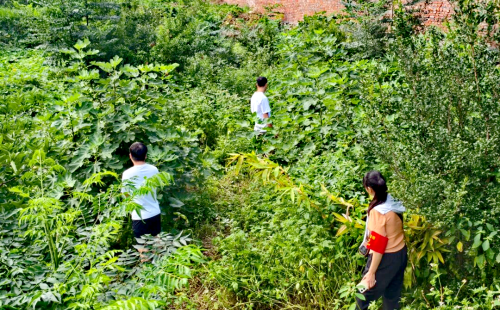【禁毒宣传】铜都街道开展禁种铲毒专题宣传活动2