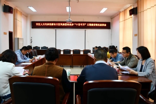 东川区人大常委会组织代表视察我区民族团结进步“十百千万”工程建设情况2