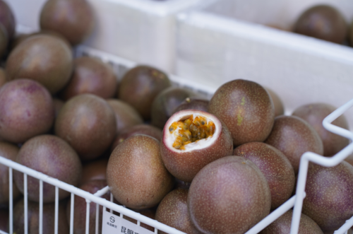 【沪滇协作】消费帮扶赋能好物出山 沪滇协作助力乡村振兴——普陀展销会上东川元素增色乡村振兴新图景7