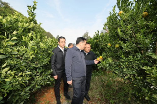 刘洪建在东川区宣讲党的二十届四中全会精神并调研时强调：奋力推动经济社会高质量发展不断取得新成效1