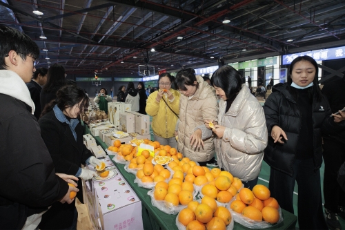 东川汇聚政企力量  “趣玩东川·活力园区”运动会启幕6