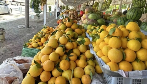 【基层治理】“五个互嵌”促交融 拖布卡临港社区绽开“和谐花”8