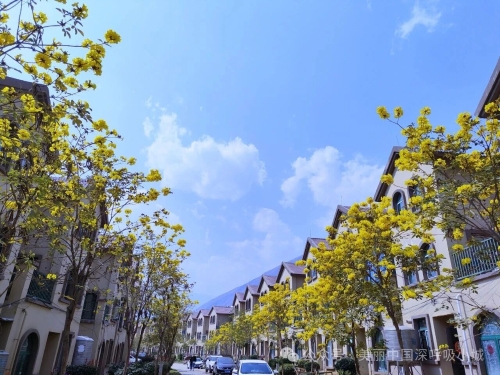 美丽中国•深呼吸乡镇”共建单位-云南省昆明市东川区拖布卡镇7