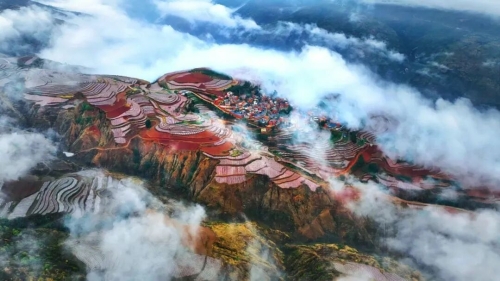 看东川蝶变答卷 从“生态困局”到“绿色标杆”3