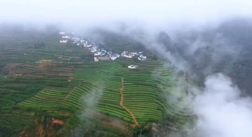 【乡村振兴】拖布卡镇西瓜地村：探索“红绿蓝金”四色融合振兴路