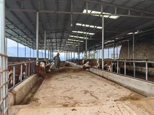 【乡村振兴】拖布卡镇西瓜地村：探索“红绿蓝金”四色融合振兴路3