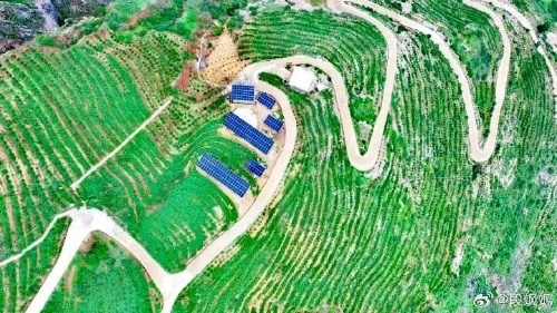 东川退耕还经济林模式被纳入“云南省首批退耕还林提质增效典型模式”名单2