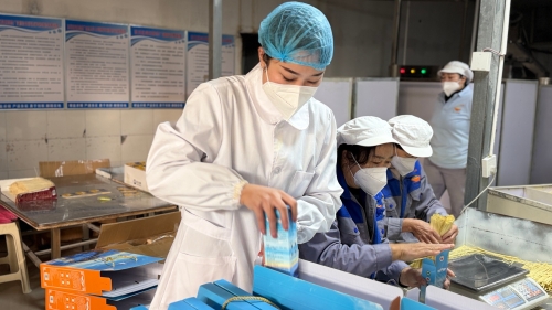 山泉麦香绕指尖——东川“飞飞面条” 一碗乡愁迎新年4