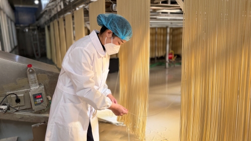山泉麦香绕指尖——东川“飞飞面条” 一碗乡愁迎新年5