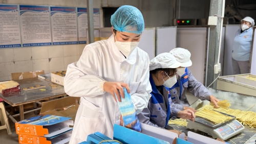 山泉麦香绕指尖——东川“飞飞面条” 一碗乡愁迎新年6