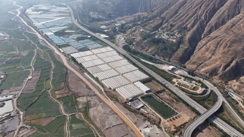 东川以“一粒种子”撬动特色农业变革2