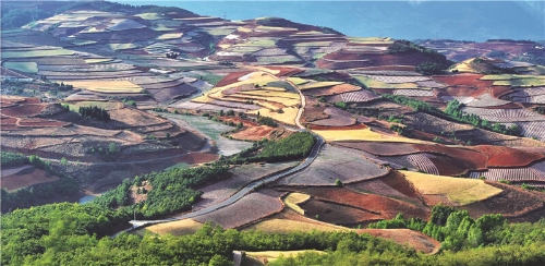 揭开隐于昆明北部的山林野趣｜东川 红土地上“野趣+艺术”的产业新生2