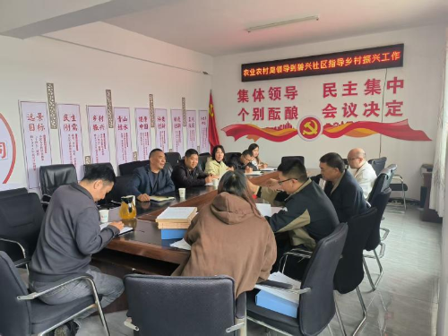 驻村帮扶添动能 碧兴社区谱新篇8