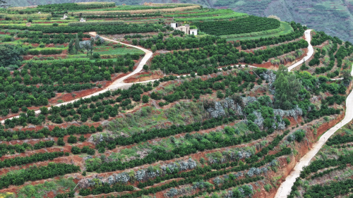 云南退耕还林提质增效典型模式2