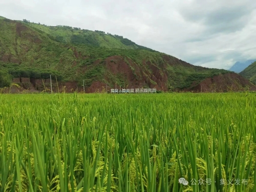 集义街道五聚焦答好“群众持续增收之问”2