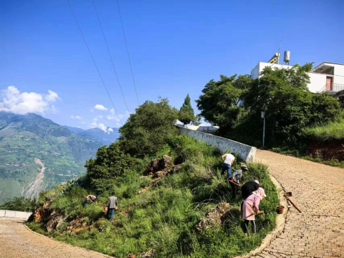 象鼻村：党建执笔绘就振兴新画卷3