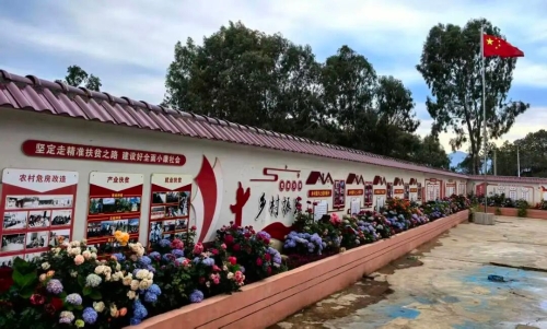 象鼻村：党建执笔绘就振兴新画卷8