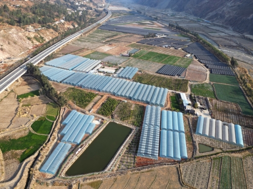 东川区抓好“菜篮子”稳产保供基本盘  筑牢餐桌安全防火墙4